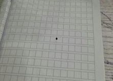 吃瓜作文三年级400个字,夏日吃瓜趣事多