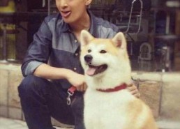 娱乐吃瓜君胡歌,娱乐圈的吃瓜传奇，揭秘明星背后的故事